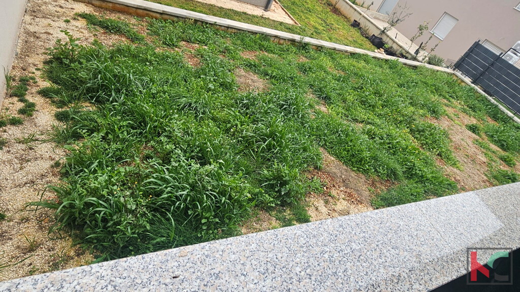 Image 6237820 - 9