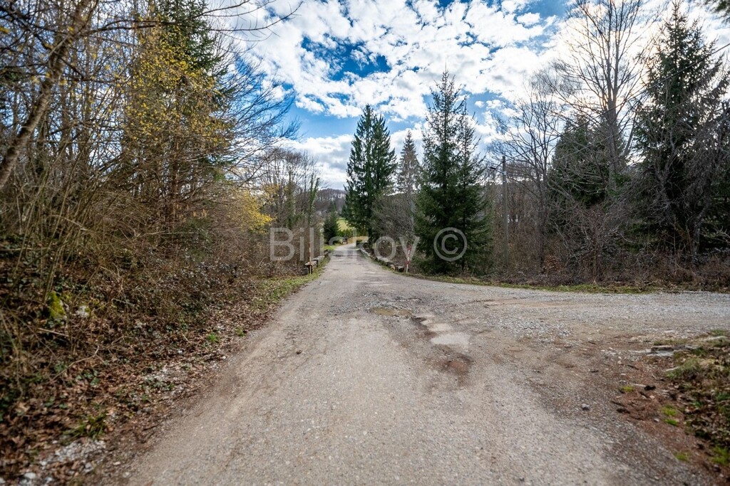 Image 6237862 - 7