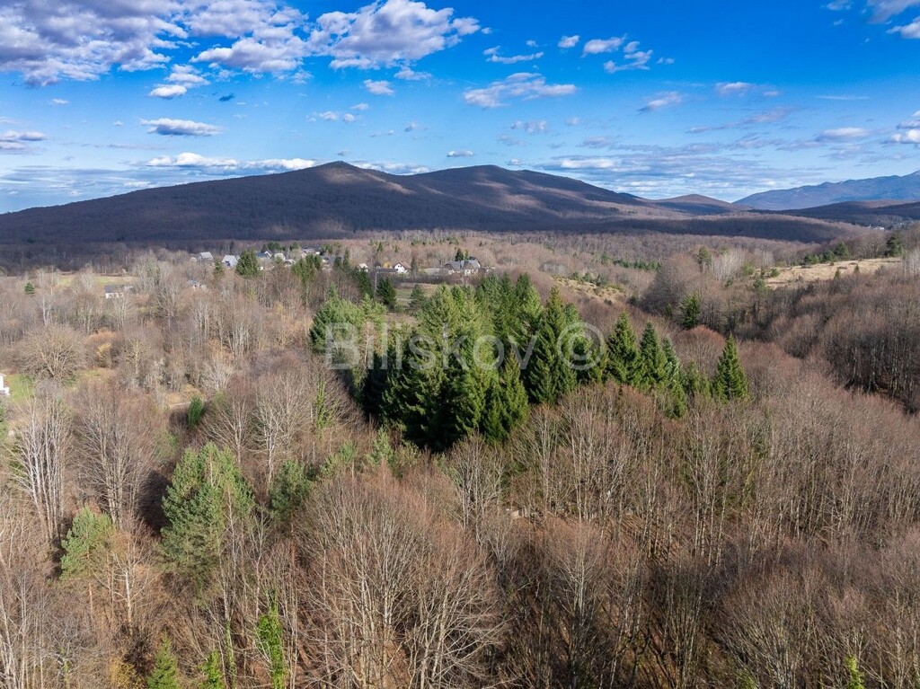 Image 6237862 - 1