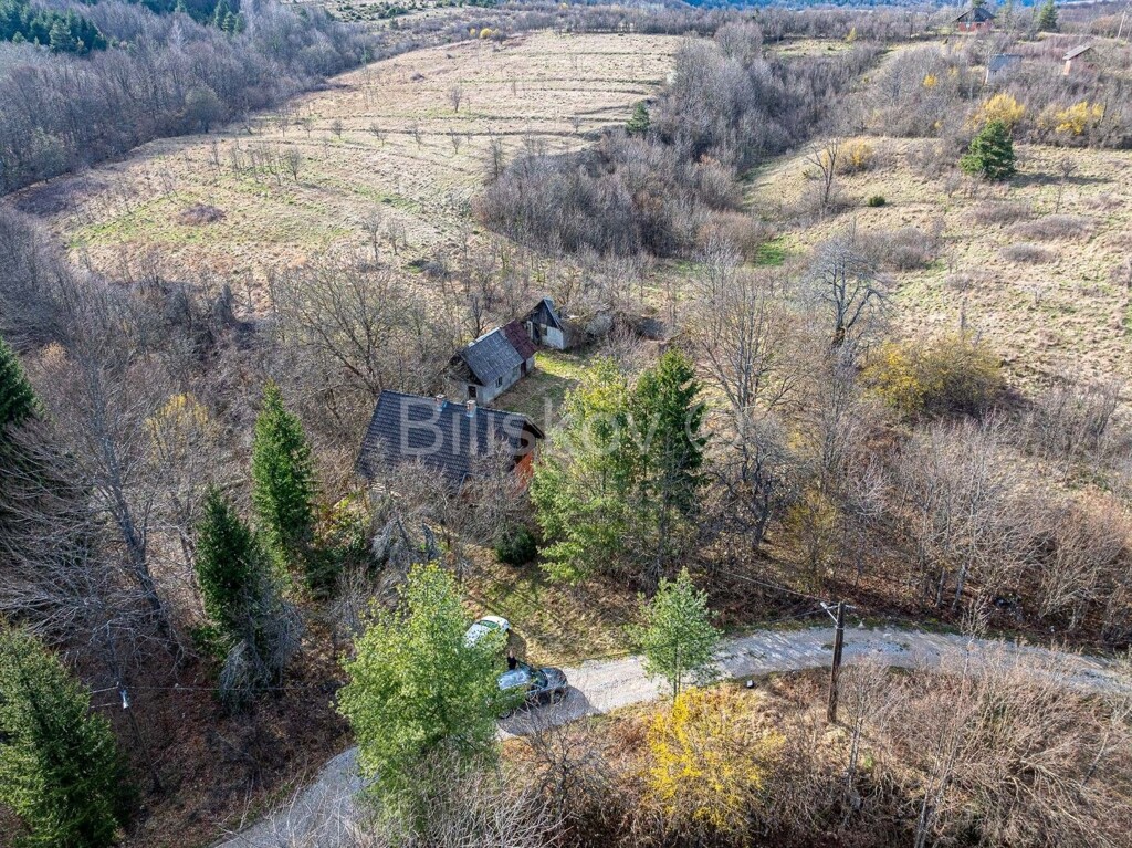 Image 6237862 - 3
