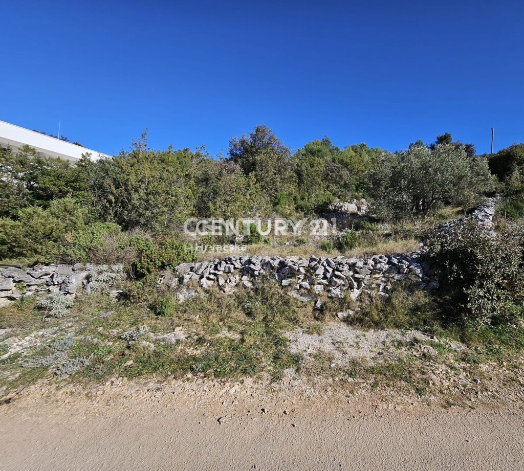 Image 6237879 - 10