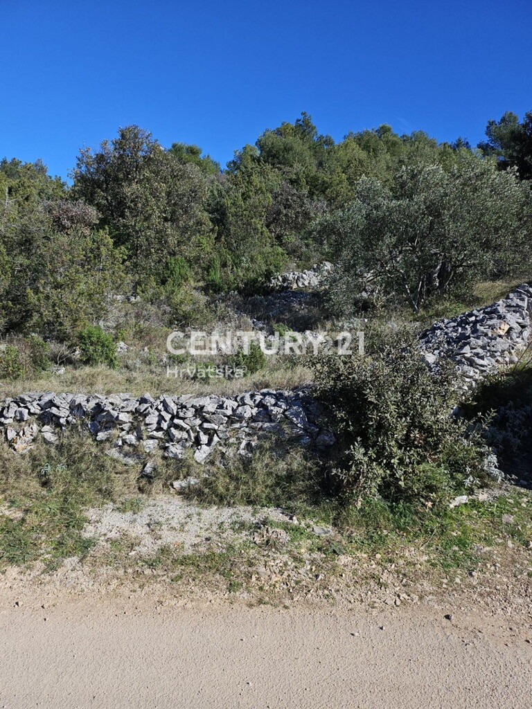 Image 6237879 - 4