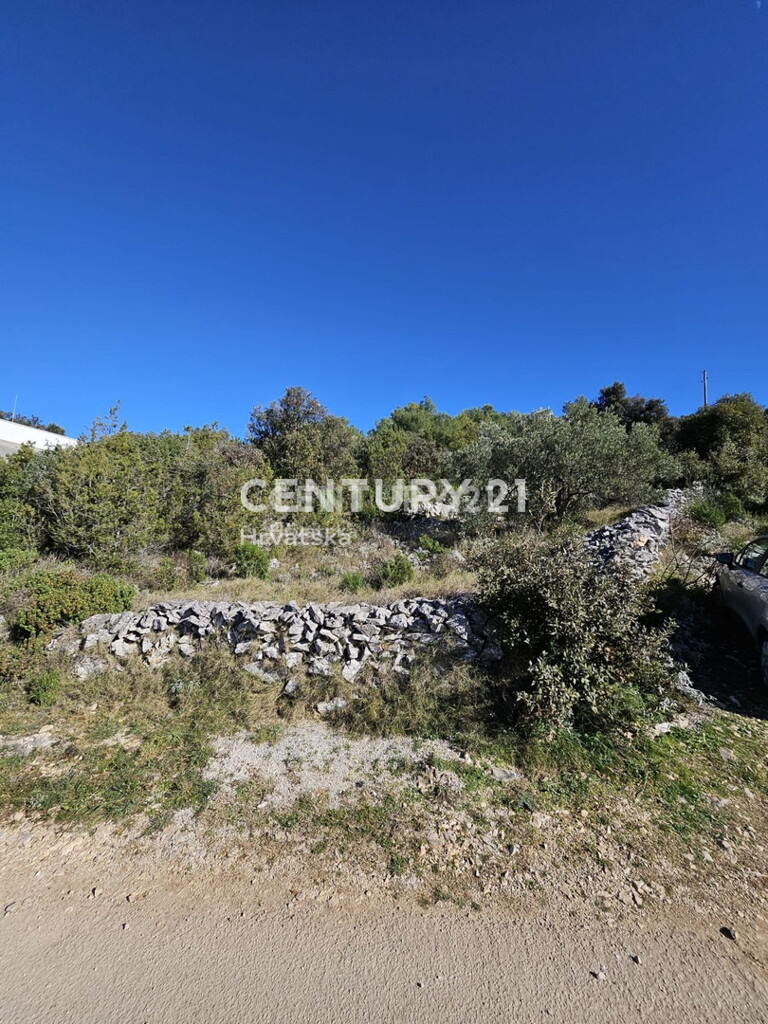 Image 6237879 - 9