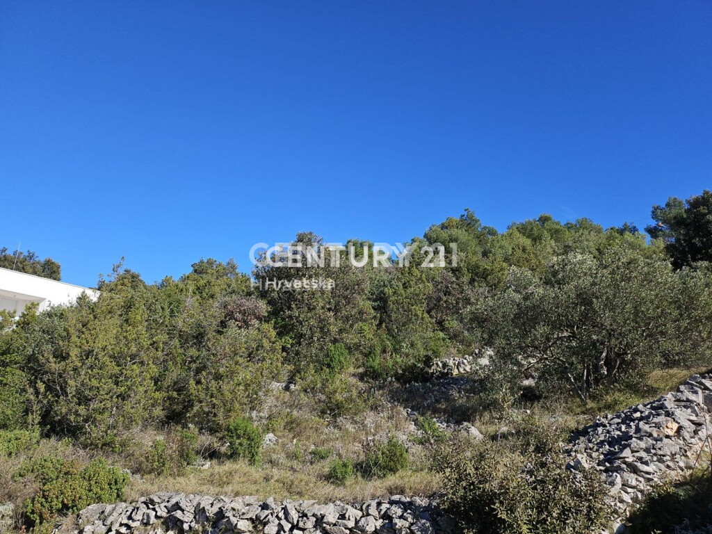 Image 6237879 - 3