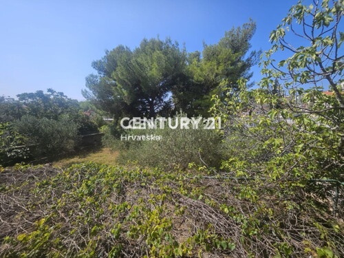 Thumbnail 6237891 - 29