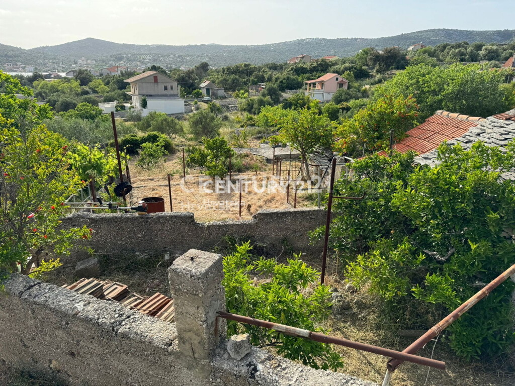 Image 6237893 - 1