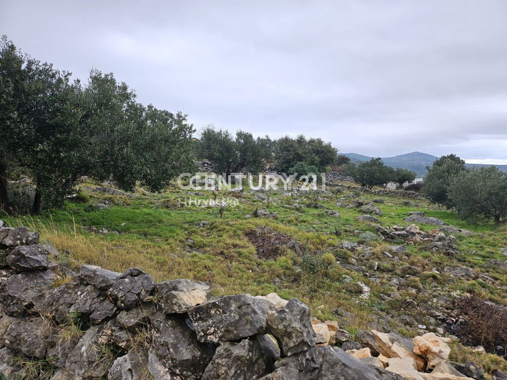 Image 6237910 - 4
