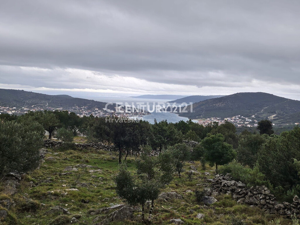 Image 6237910 - 1