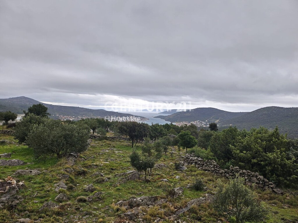 Image 6237910 - 5
