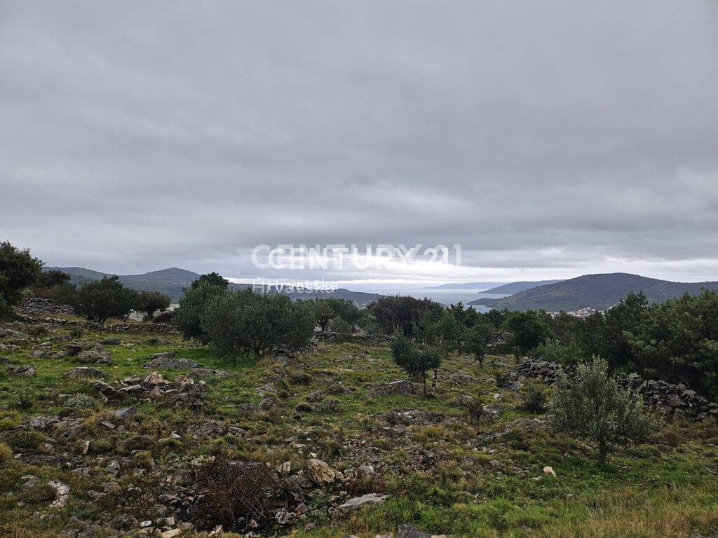 Image 6237910 - 3
