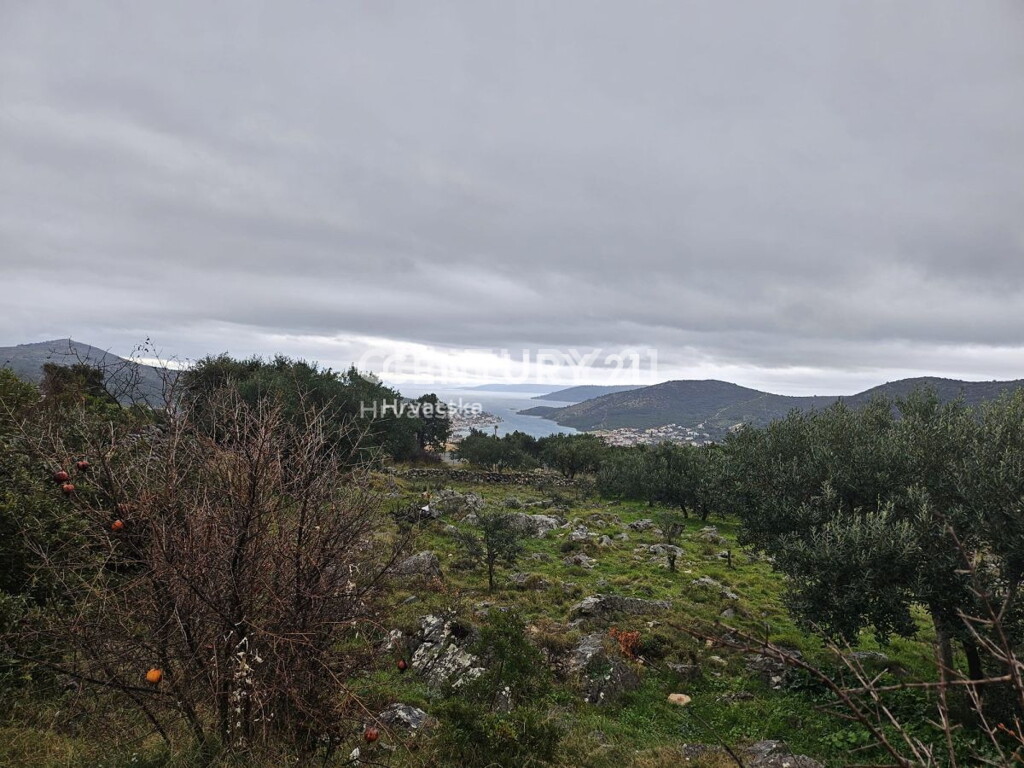 Image 6237910 - 6