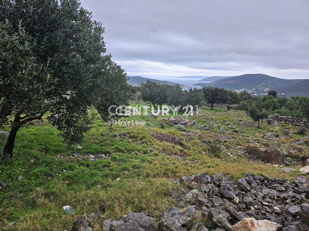 Image 6237910 - 2