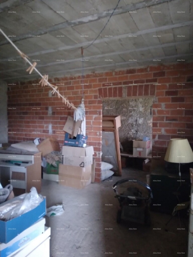 Image 6237934 - 9
