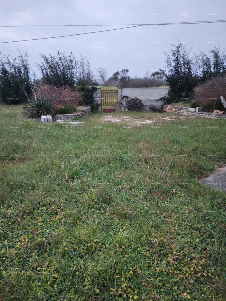 Image 6237934 - 16