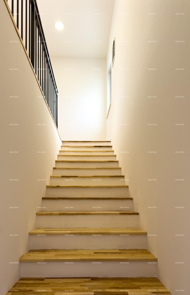 Image 6237946 - 24