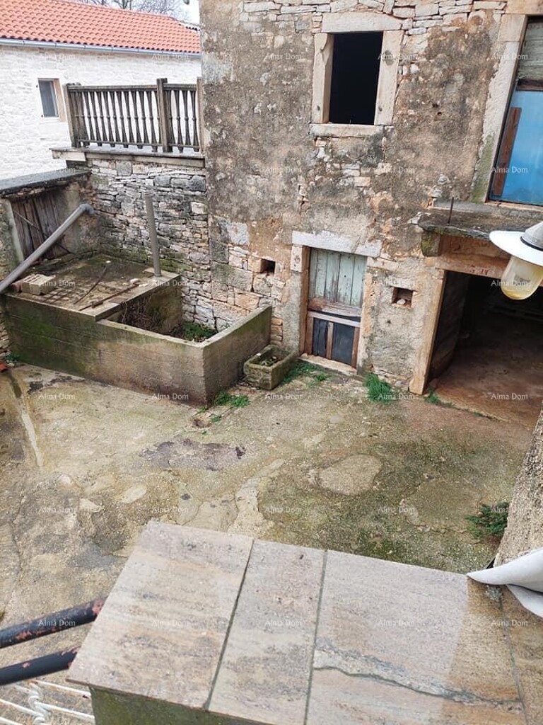 Image 6237965 - 7