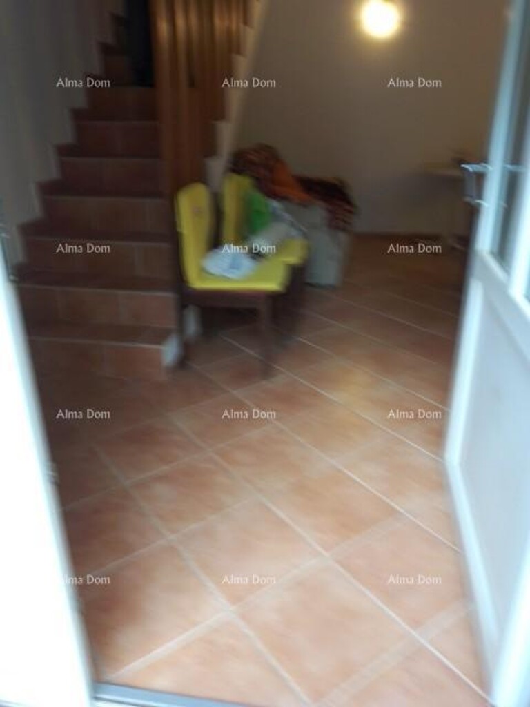 Image 6237977 - 6