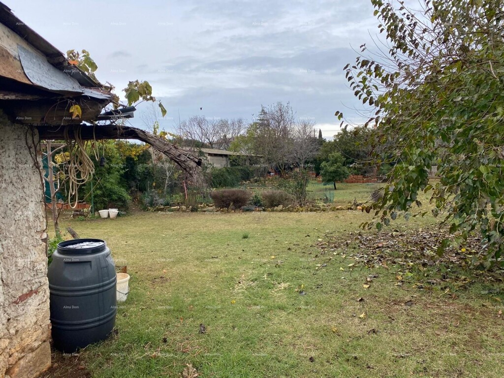 Image 6237980 - 8