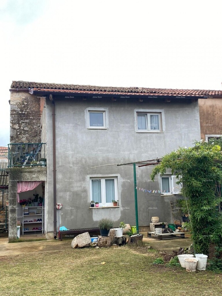 Image 6237980 - 2