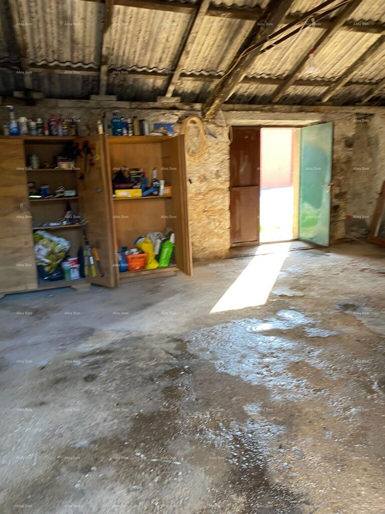 Image 6237980 - 13