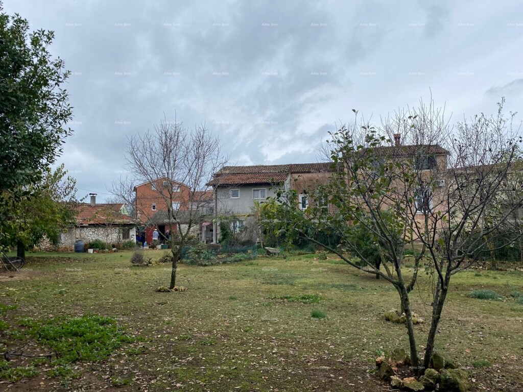 Image 6237980 - 1