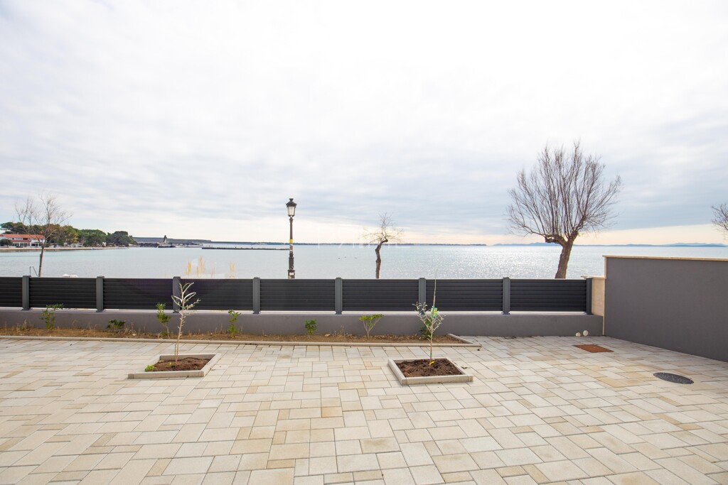 Image 6237996 - 1