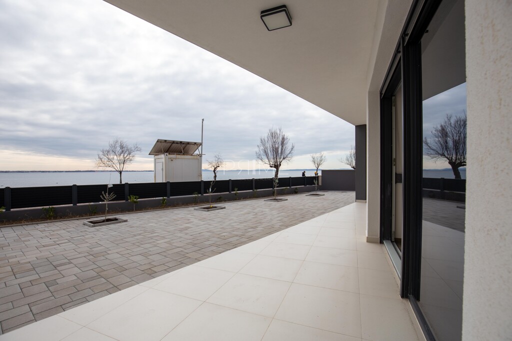 Image 6237996 - 14