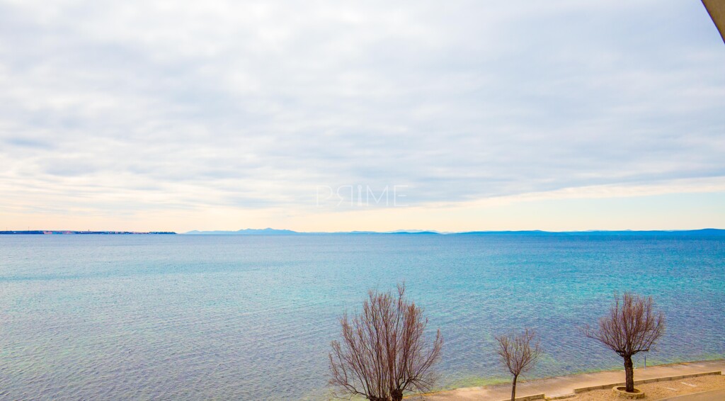 Image 6237997 - 2