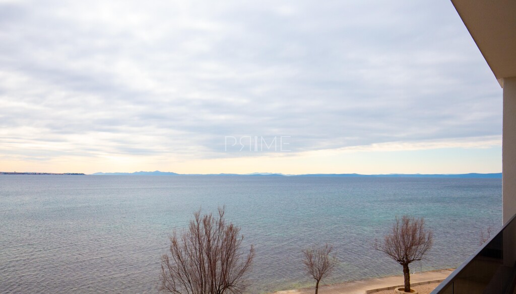 Image 6237997 - 28