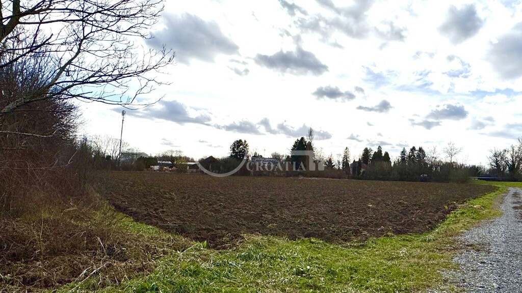 Image 6238033 - 1