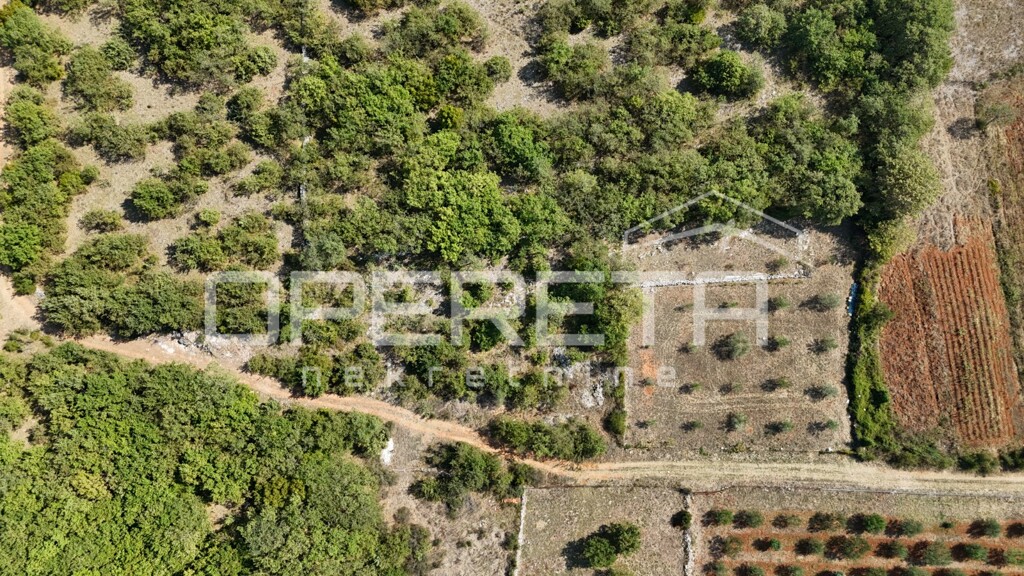Image 6238053 - 6