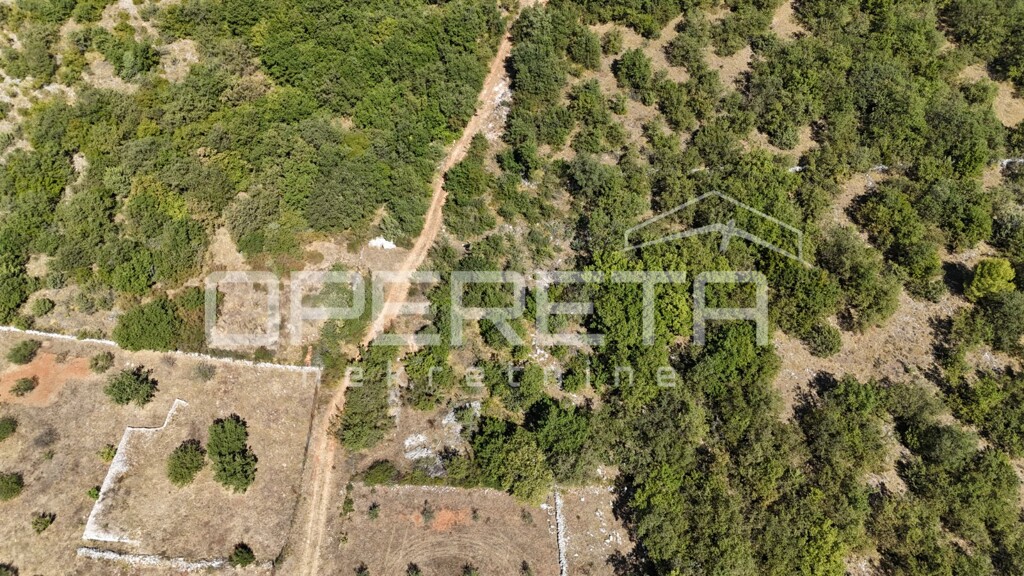 Image 6238053 - 4
