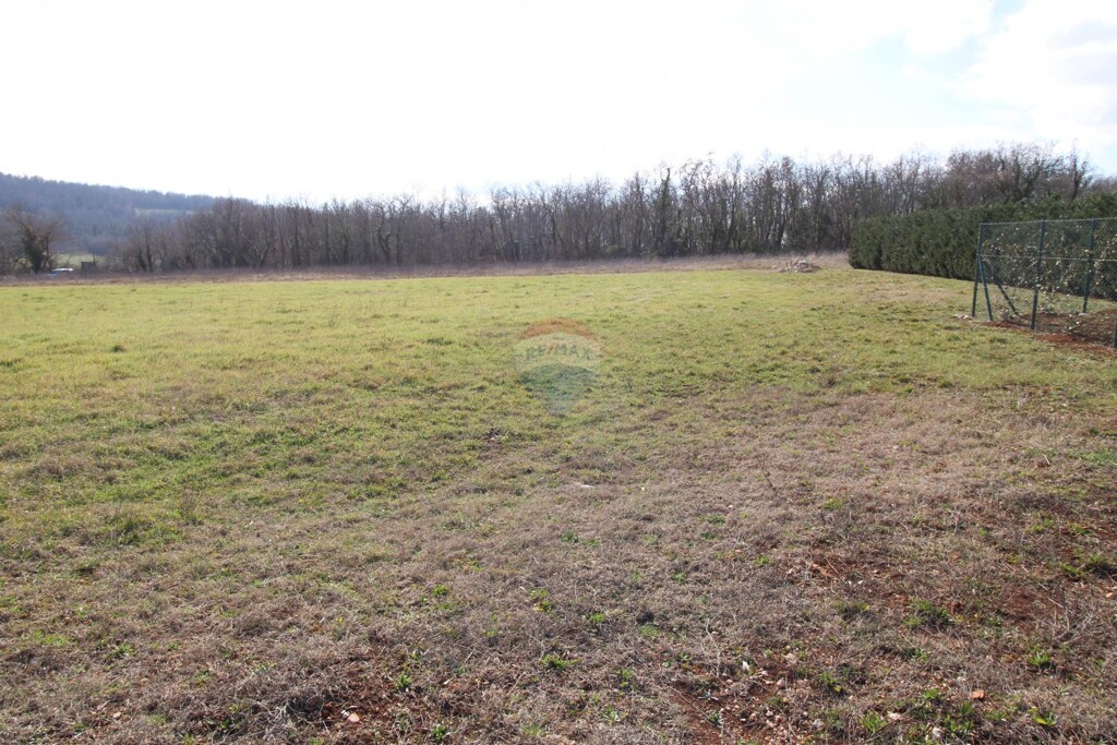 Image 6238085 - 12