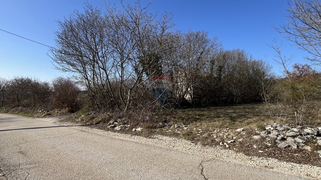 Image 6238089 - 1