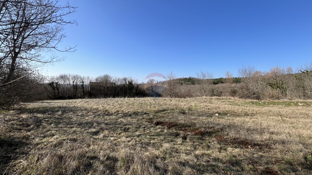 Image 6238089 - 3