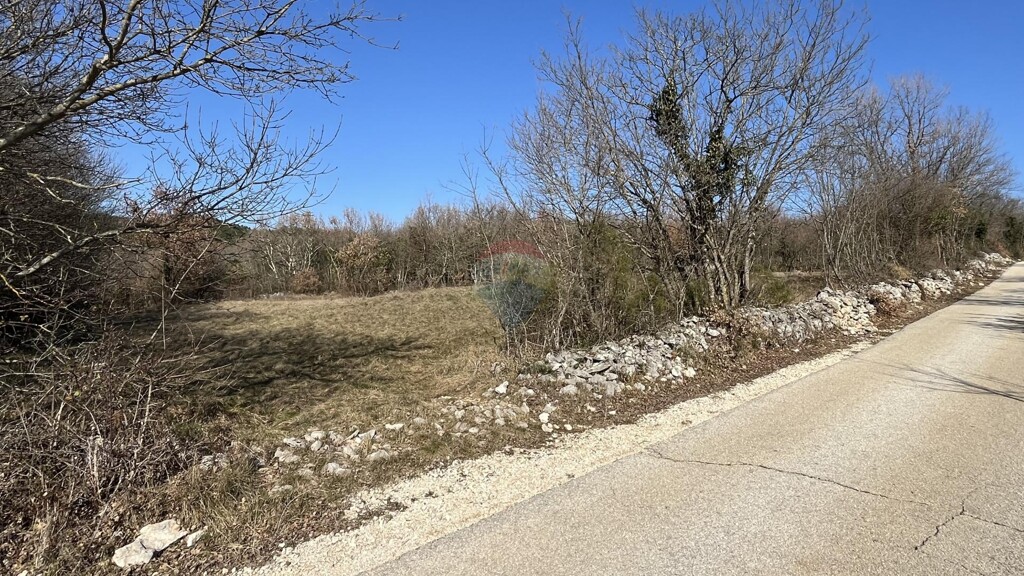 Image 6238089 - 2