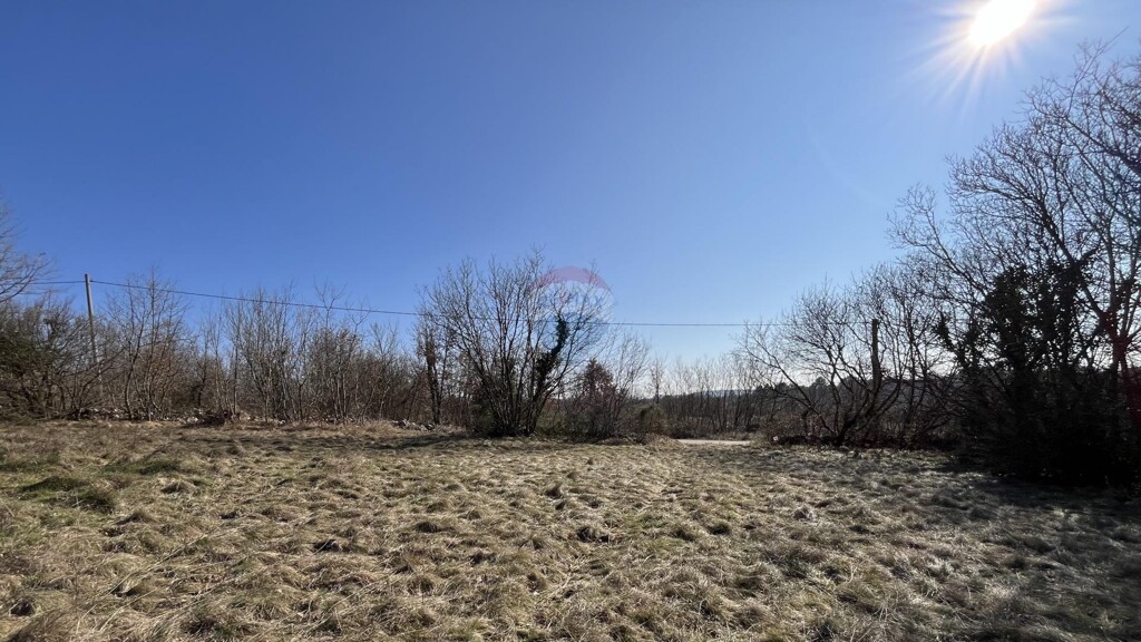 Image 6238089 - 4