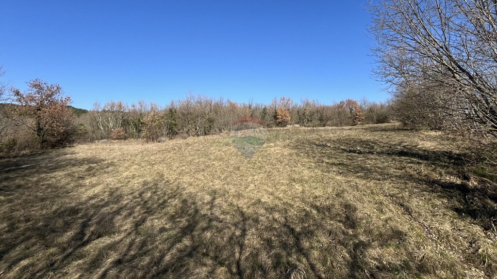 Image 6238089 - 5