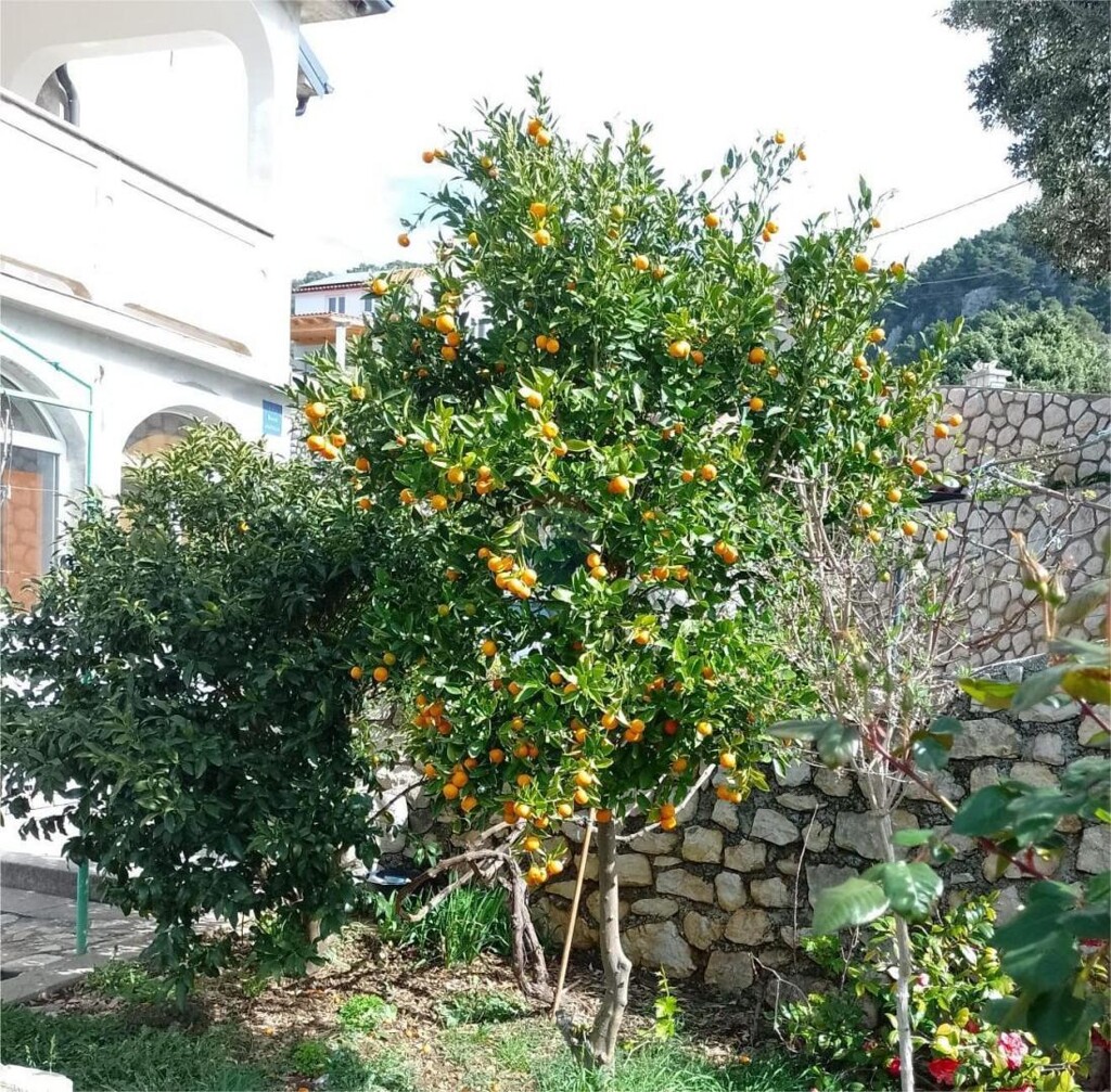 Image 6238093 - 2