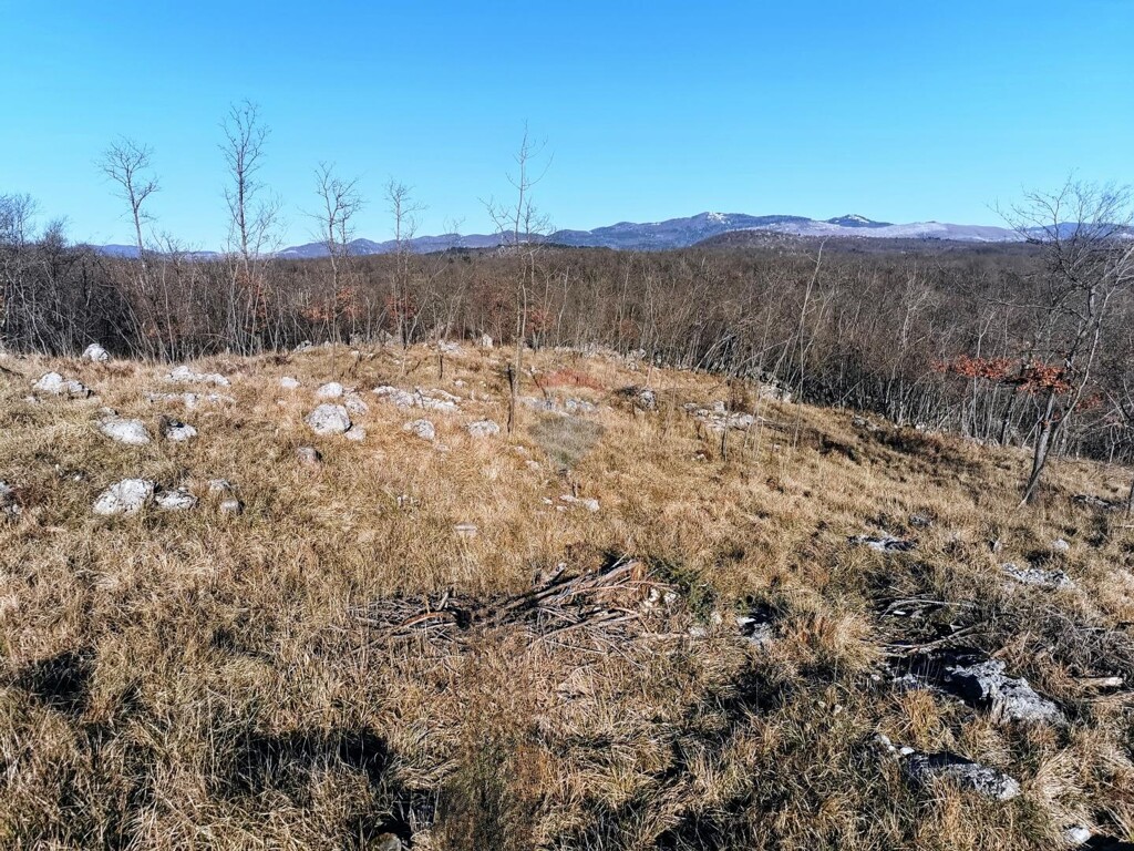 Image 6238095 - 4