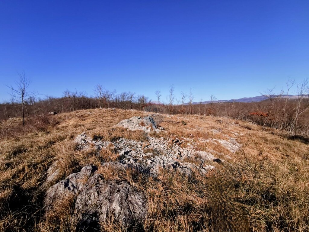 Image 6238095 - 2