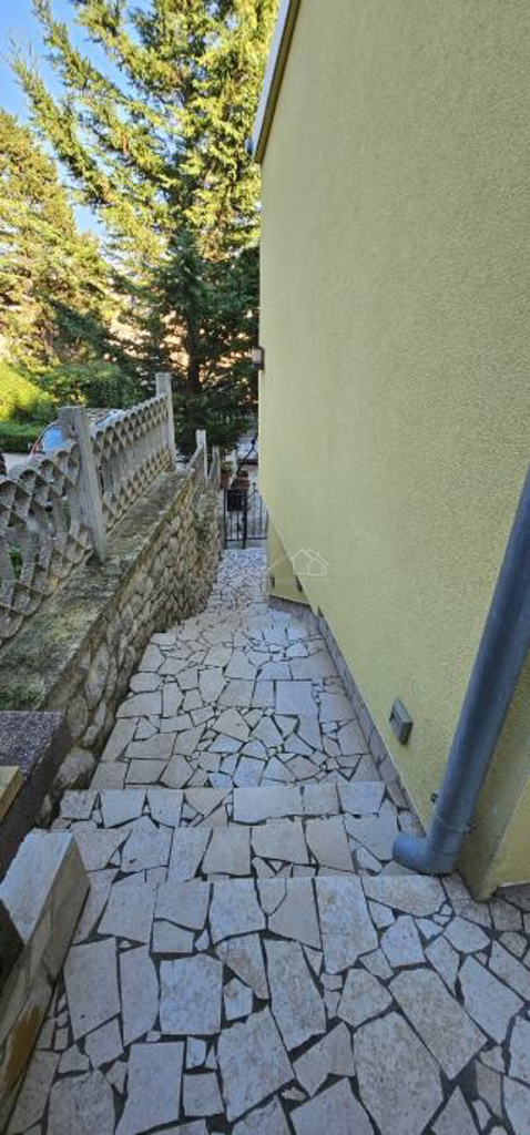 Image 6238219 - 3