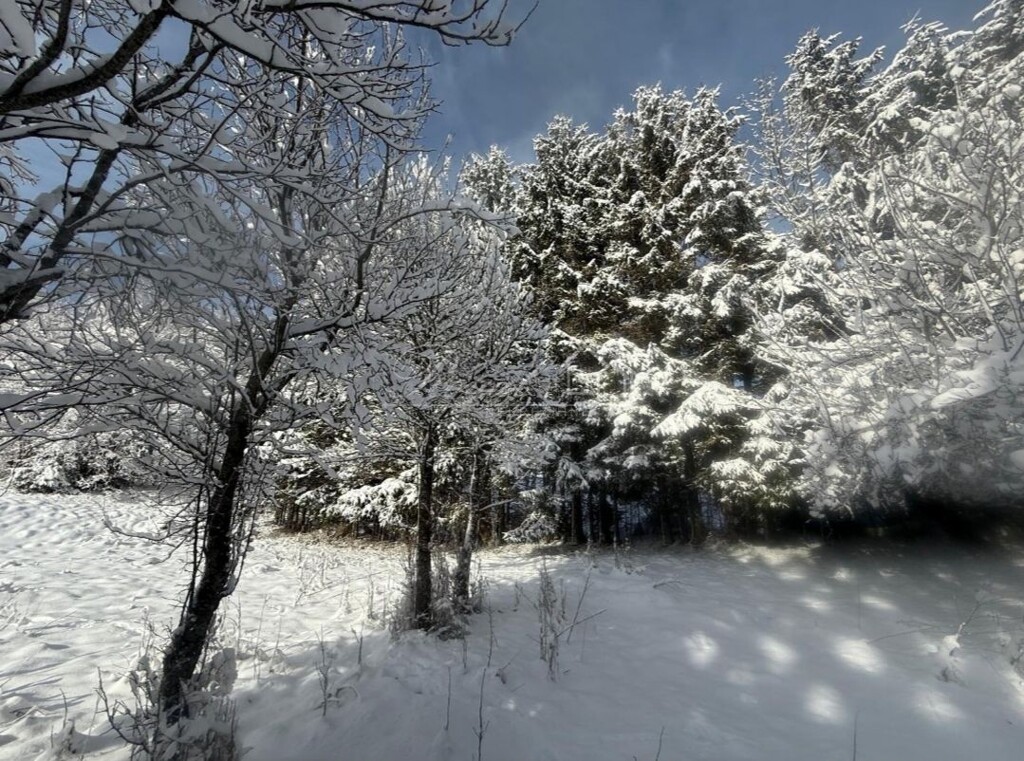 Image 6238265 - 6