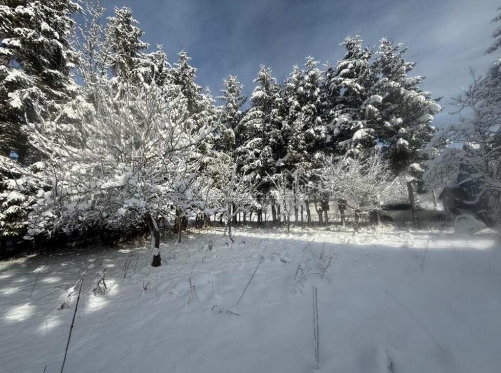 Image 6238265 - 3