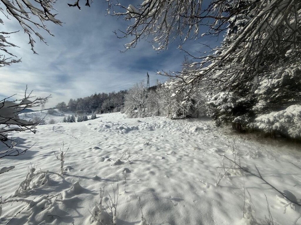 Image 6238265 - 4