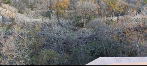 Thumbnail 6238270 - 8