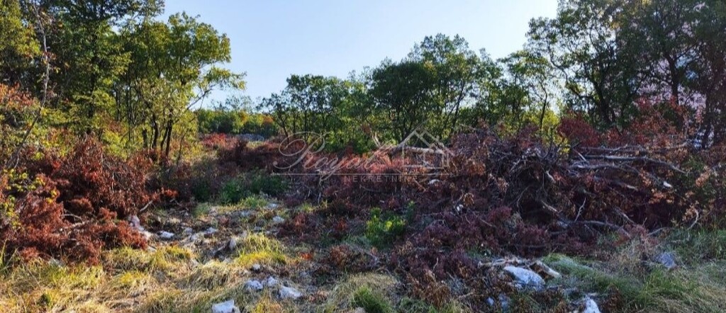 Image 6238270 - 6