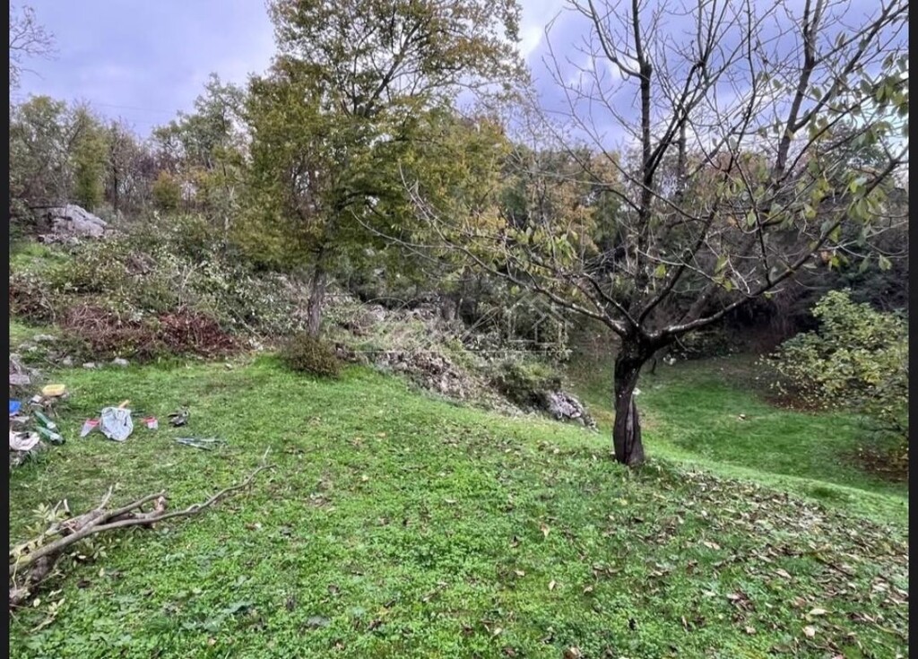 Image 6238304 - 5