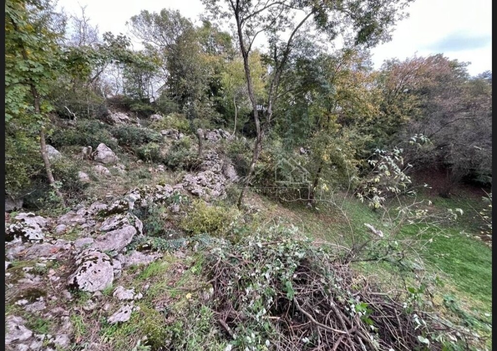 Image 6238304 - 6