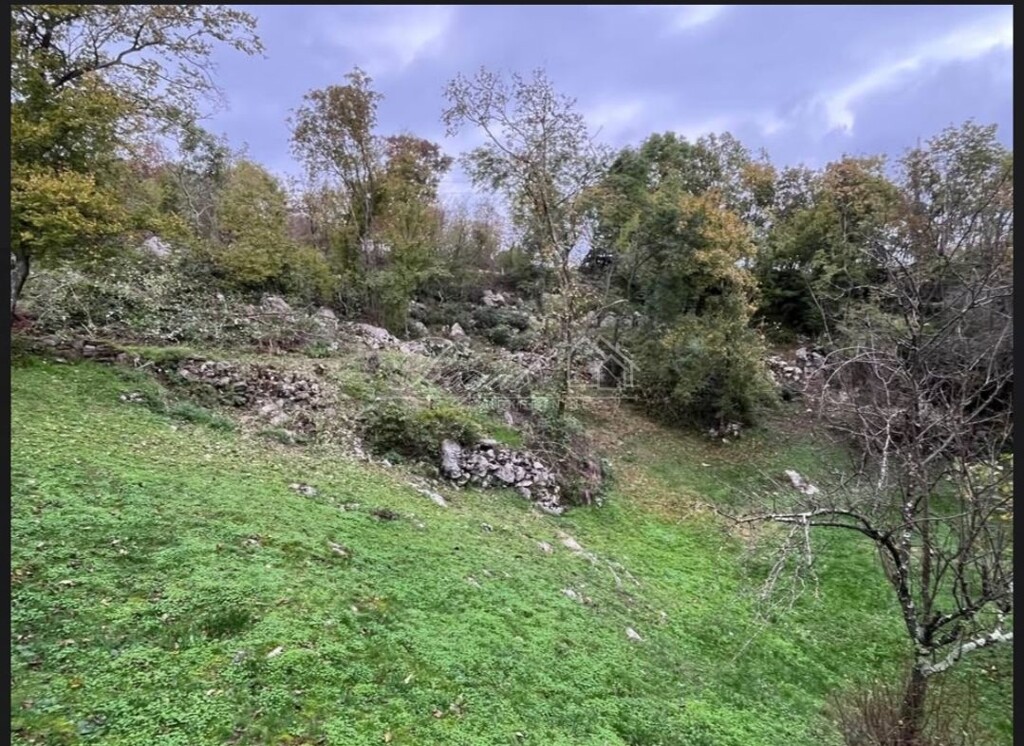 Image 6238304 - 2